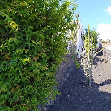Chalé Under The Volcano In Playa Blanca *